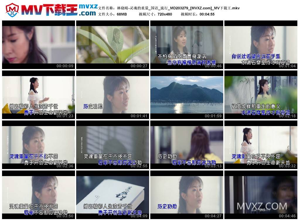 林晓晴-灵魂的重量_国语_流行_MD203279